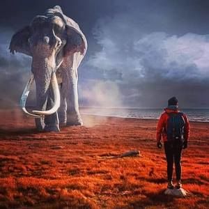 Meet your Posher, Spike